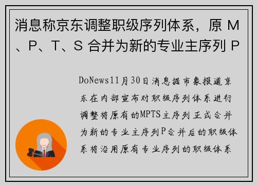 消息称京东调整职级序列体系，原 M、P、T、S 合并为新的专业主序列 P