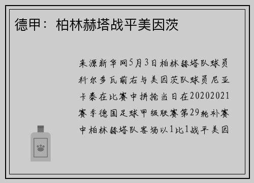 德甲：柏林赫塔战平美因茨